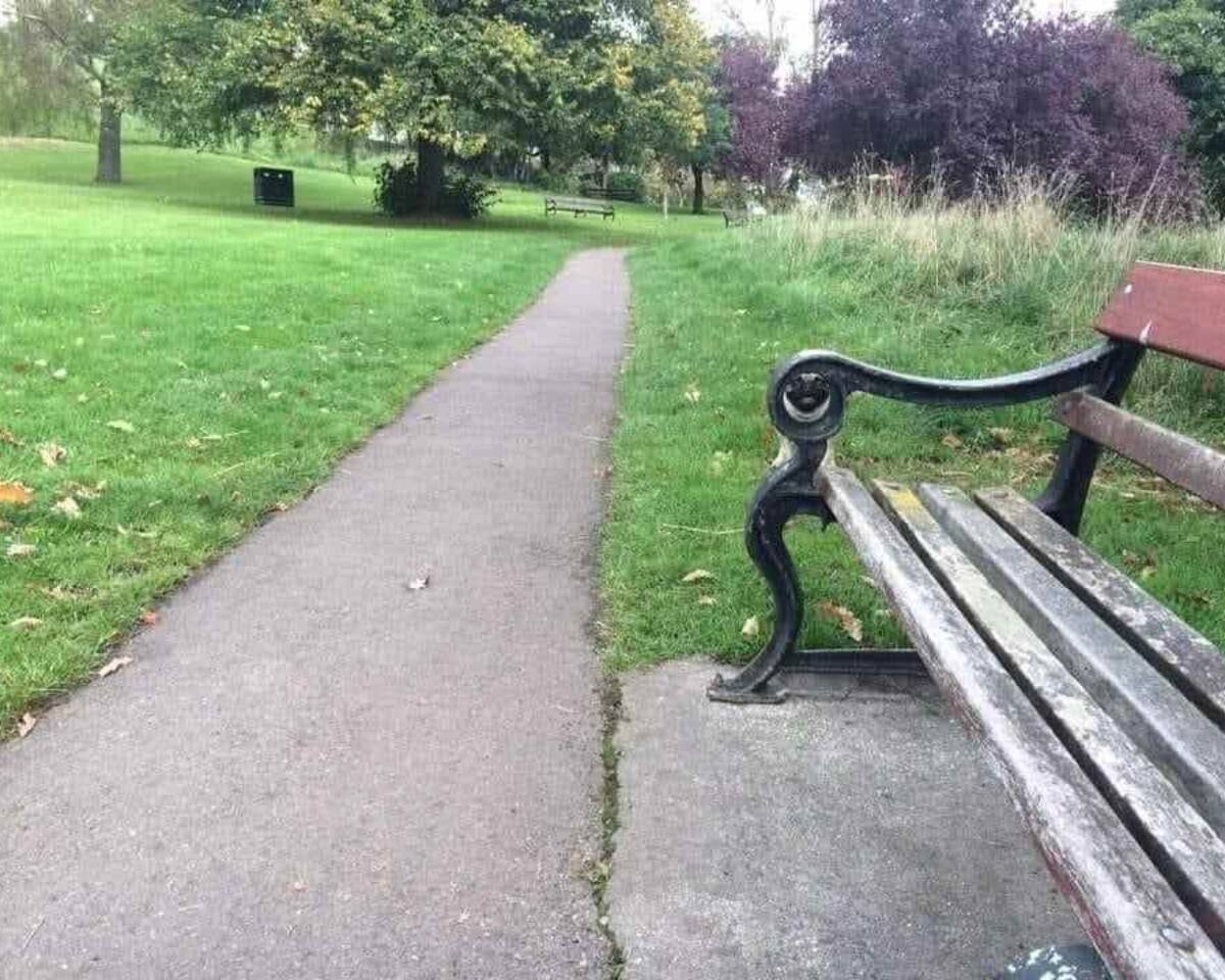 ¿Eres capaz de encontrar al perro oculto en esta imagen?