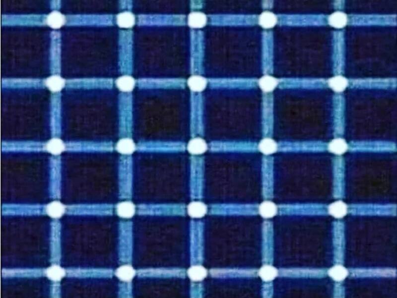 Encuentra el punto negro entre los puntos blancos.