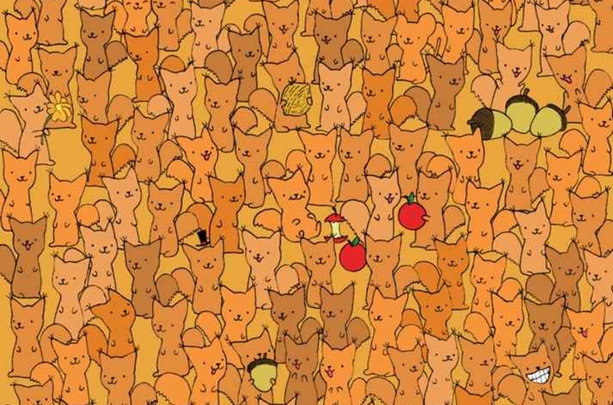 TEST VISUAL: desafío del ratón escondido ¿Podrás encontrarlo?