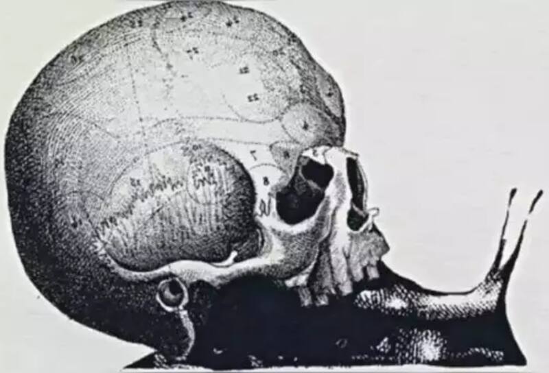 Descubre una posible voación a travez de lo primero que veas en esta imagen.