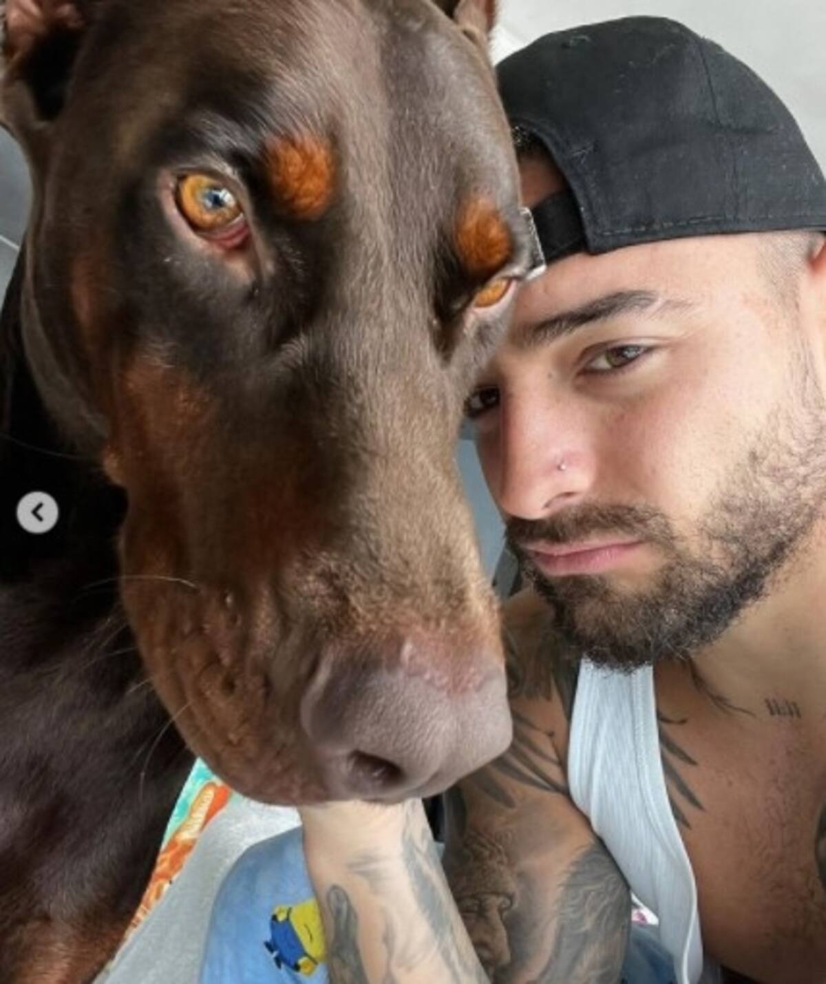 Tierna pregunta de Maluma recibe un inmediato "Sí" de famosas latinoamericanas Buda y Maluma - Créditos: Instagram