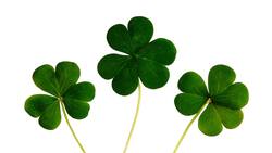 El día más afortunado de la semana del 5 al 11 de junio para cada signo zodiacal