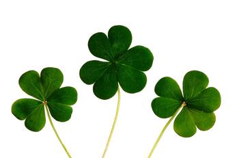 El día más afortunado de la semana del 5 al 11 de junio para cada signo zodiacal