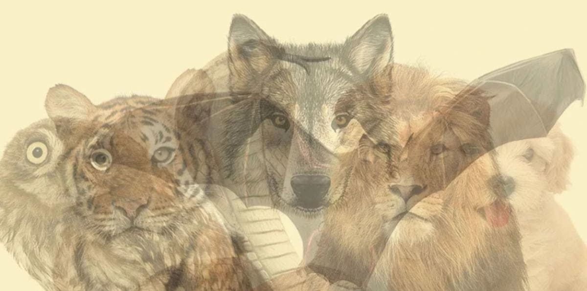 Descubre las caracteristicas del primer animal que veas en la imagen.