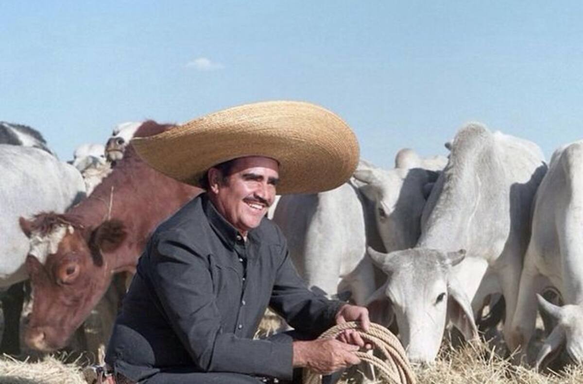 Este es el negocio millonario y poco conocido que tenía Vicente Fernández