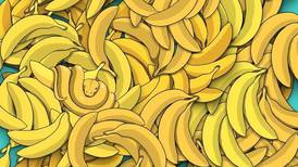 Reto visual: Encuentra la serpiente entre los plátanos
